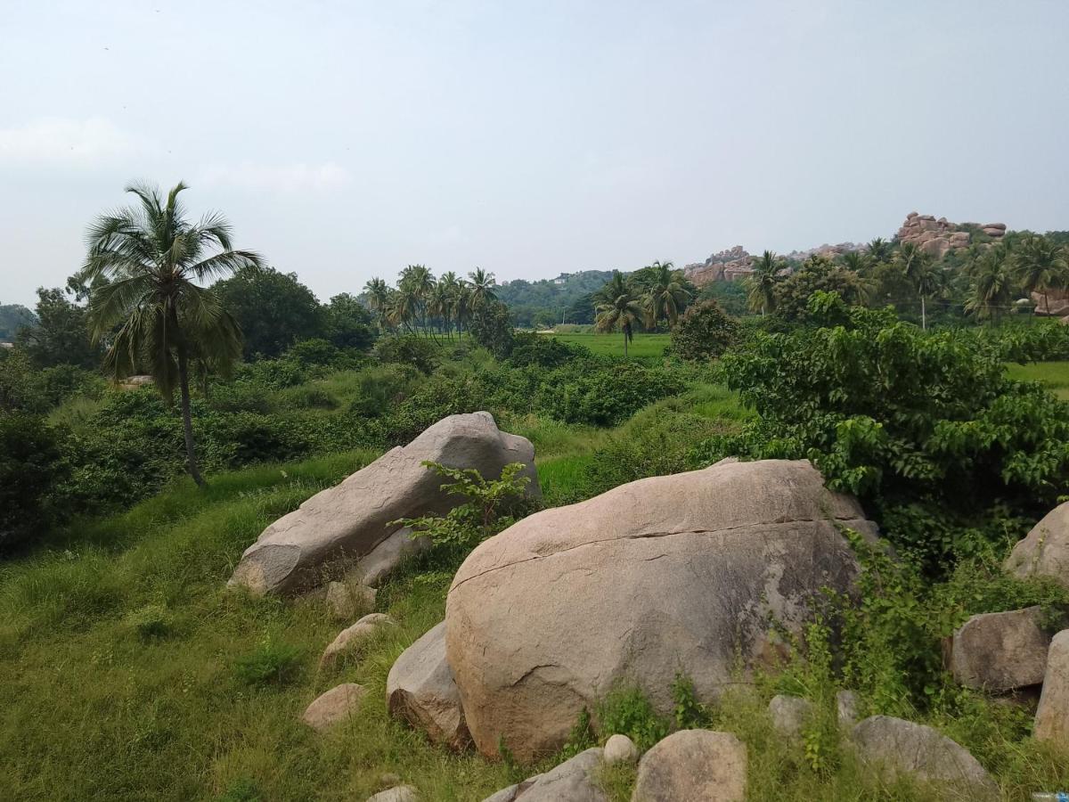 Monkey Paradise Hampi Exterior photo